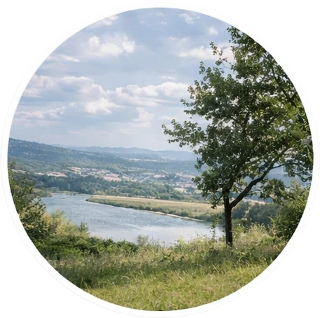 Weite Natur mit Blick auf den Rhein und grüne Hügel – Ort der Erholung und Ruhe